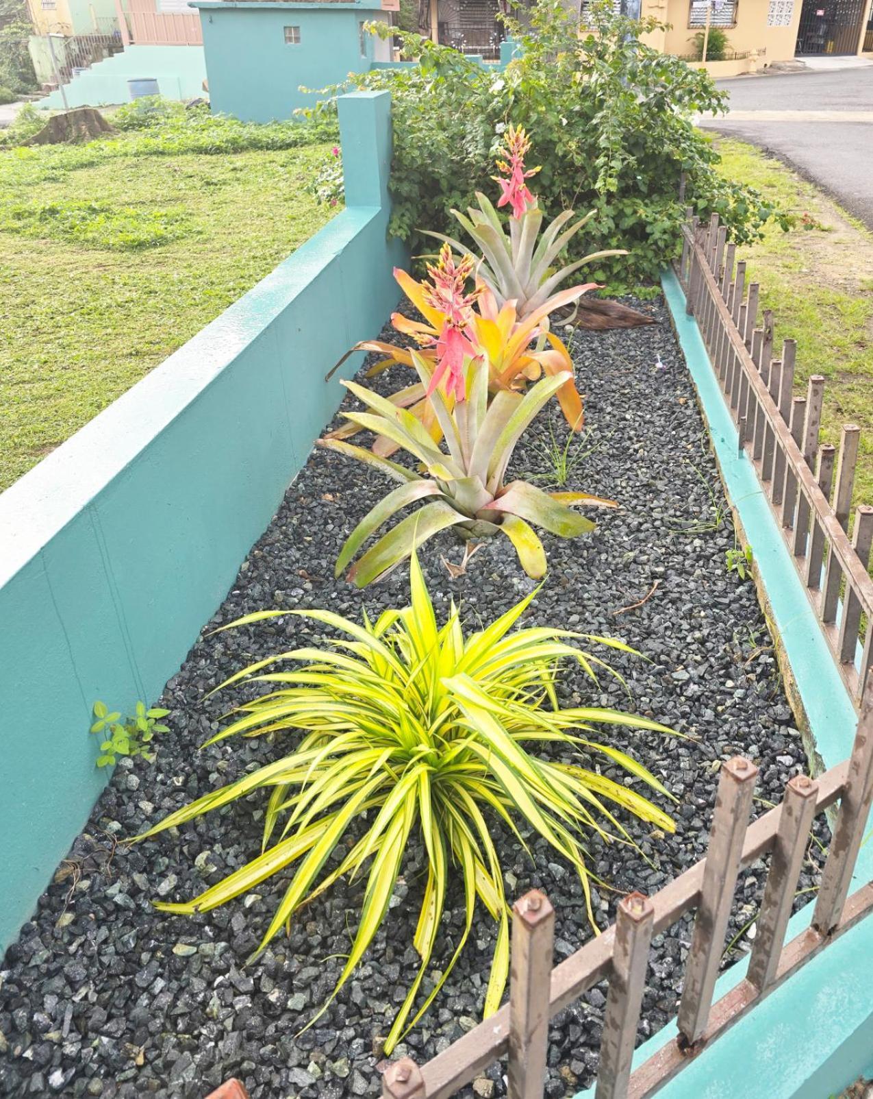 Casa Palmera Вега Баха Екстериор снимка